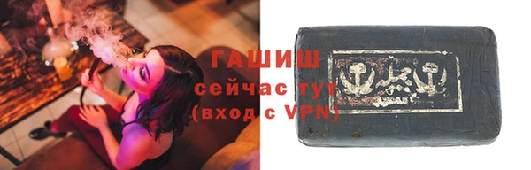 хмурый Абаза