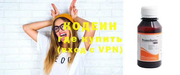 хмурый Абаза