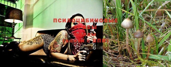 хмурый Абаза