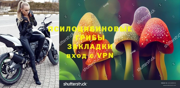 хмурый Абаза