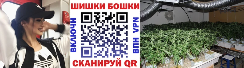 купить закладку мега рабочий сайт darknet телеграм Химки Бошки марихуана THC 21%